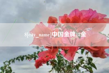 长兴中国金牌18金