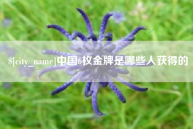 长兴中国6枚金牌是哪些人获得的