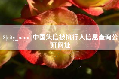 长兴中国失信被执行人信息查询公开网址