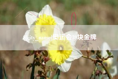 长兴奥运会39块金牌