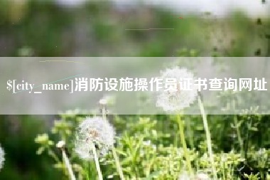 长兴消防设施操作员证书查询网址