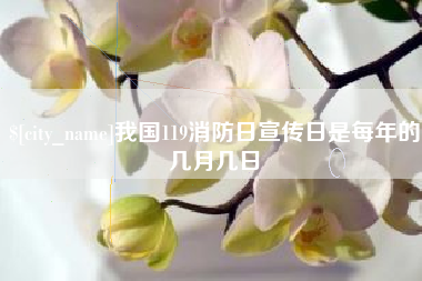 长兴我国119消防日宣传日是每年的几月几日