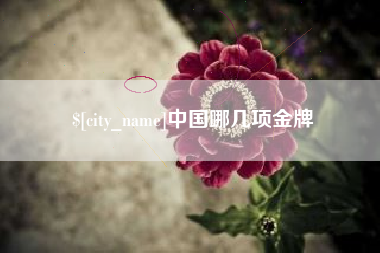长兴中国哪几项金牌
