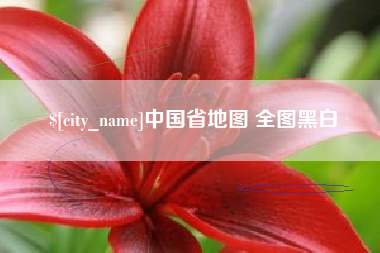 长兴中国省地图 全图黑白