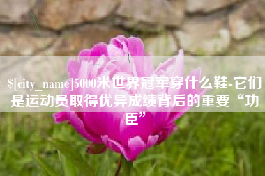 长兴5000米世界冠军穿什么鞋-它们是运动员取得优异成绩背后的重要“功臣”