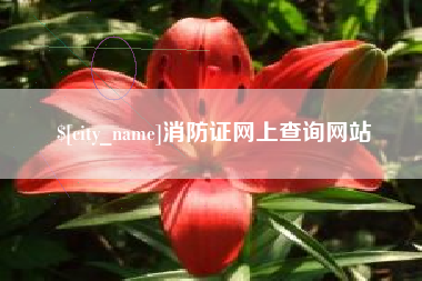 长兴消防证网上查询网站