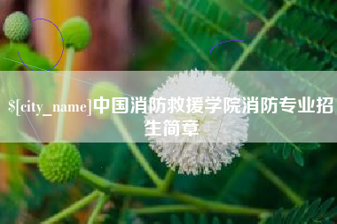 长兴中国消防救援学院消防专业招生简章