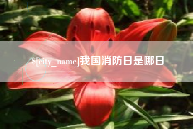 长兴我国消防日是哪日