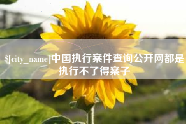 长兴中国执行案件查询公开网都是执行不了得案子