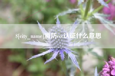 长兴消防ccc认证什么意思