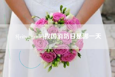 长兴我国消防日是哪一天