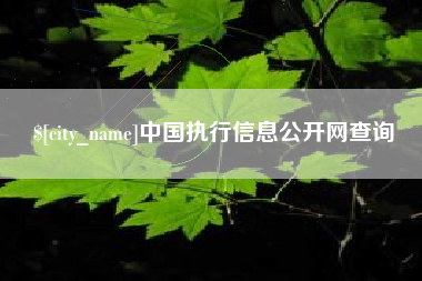 长兴中国执行信息公开网查询