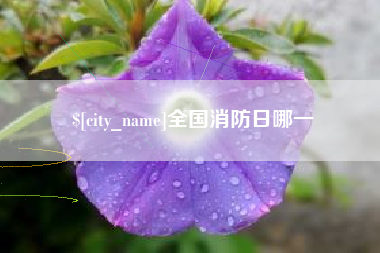长兴全国消防日哪一
