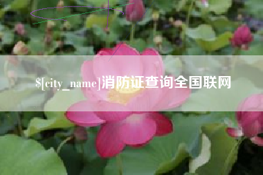 长兴消防证查询全国联网