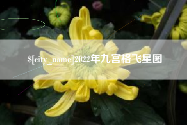 长兴2022年九宫格飞星图