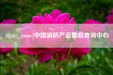 长兴中国消防产品信息查询中心