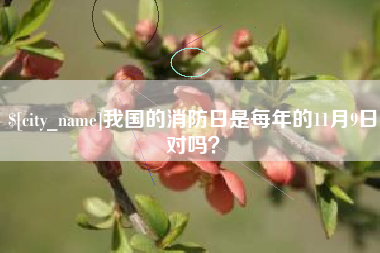 长兴我国的消防日是每年的11月9日对吗？
