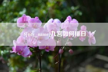 长兴九宫如何排日