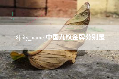 长兴中国九枚金牌分别是