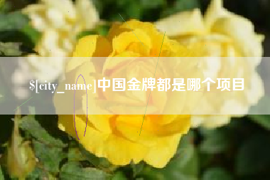 长兴中国金牌都是哪个项目