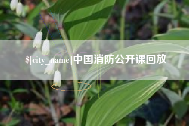 长兴中国消防公开课回放