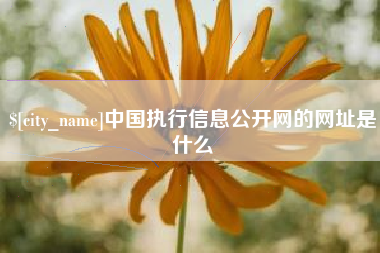 长兴中国执行信息公开网的网址是什么
