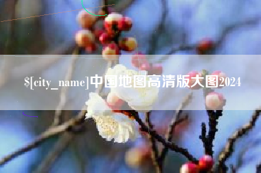 长兴中国地图高清版大图2024