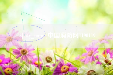 长兴中国消防网1190119