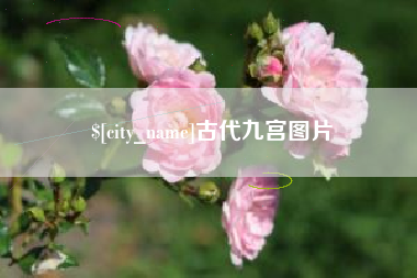 长兴古代九宫图片