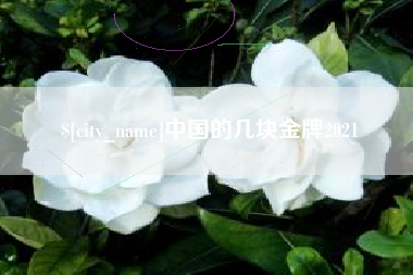 长兴中国的几块金牌2021