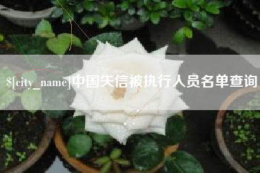 长兴中国失信被执行人员名单查询