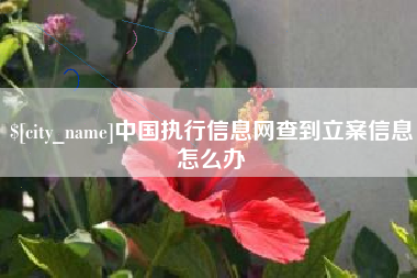 长兴中国执行信息网查到立案信息怎么办