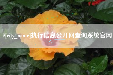 长兴执行信息公开网查询系统官网