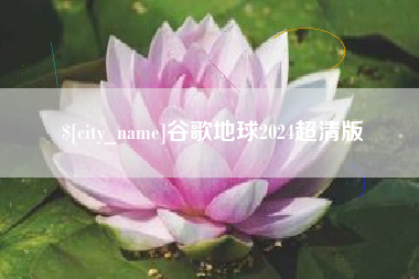 长兴谷歌地球2024超清版