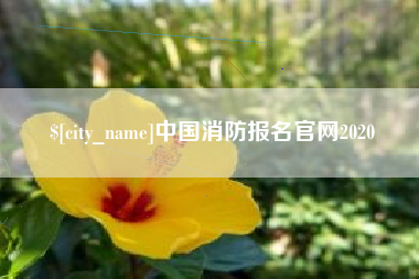 长兴中国消防报名官网2020
