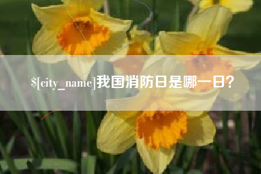 长兴我国消防日是哪一日？