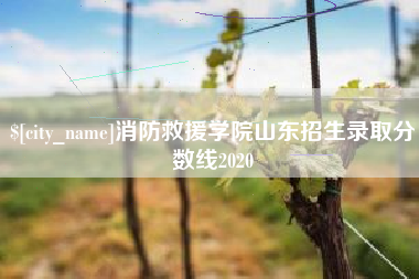 长兴消防救援学院山东招生录取分数线2020