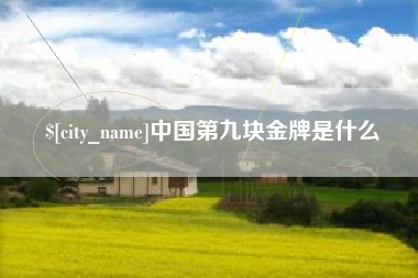 长兴中国第九块金牌是什么