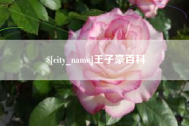 长兴王子豪百科