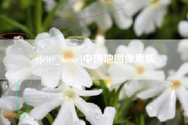 长兴中国地图像素版