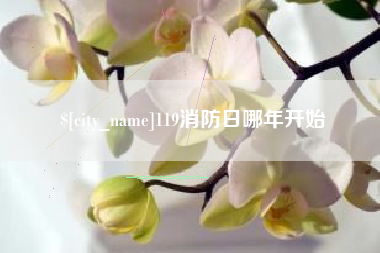 长兴119消防日哪年开始
