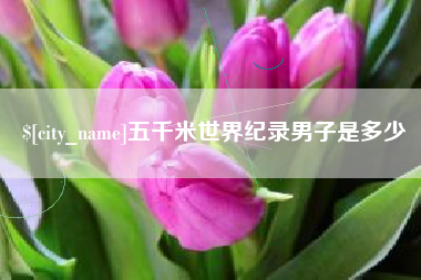 长兴五千米世界纪录男子是多少
