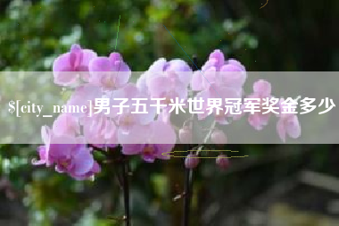 长兴男子五千米世界冠军奖金多少