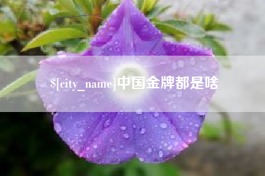 长兴中国金牌都是啥
