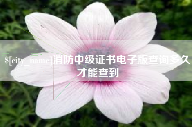 长兴消防中级证书电子版查询多久才能查到