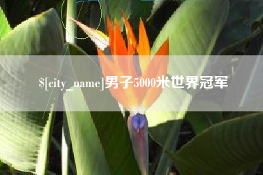 长兴男子5000米世界冠军