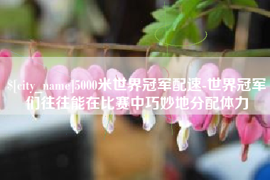 长兴5000米世界冠军配速-世界冠军们往往能在比赛中巧妙地分配体力