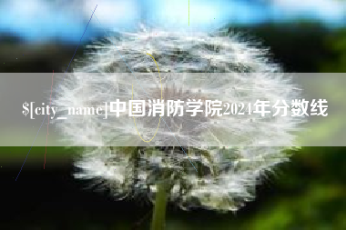 长兴中国消防学院2024年分数线