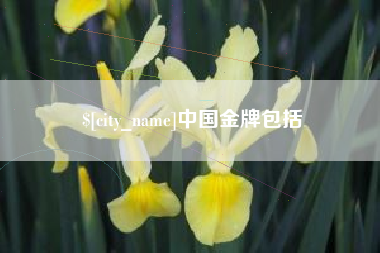 长兴中国金牌包括