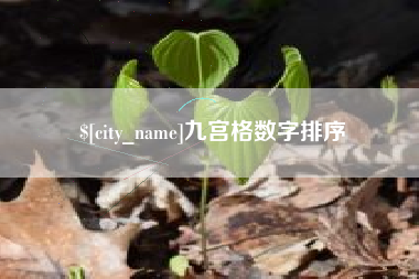 长兴九宫格数字排序